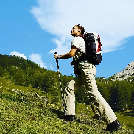 In St Koloman Near Salzburg Ferienhaus *